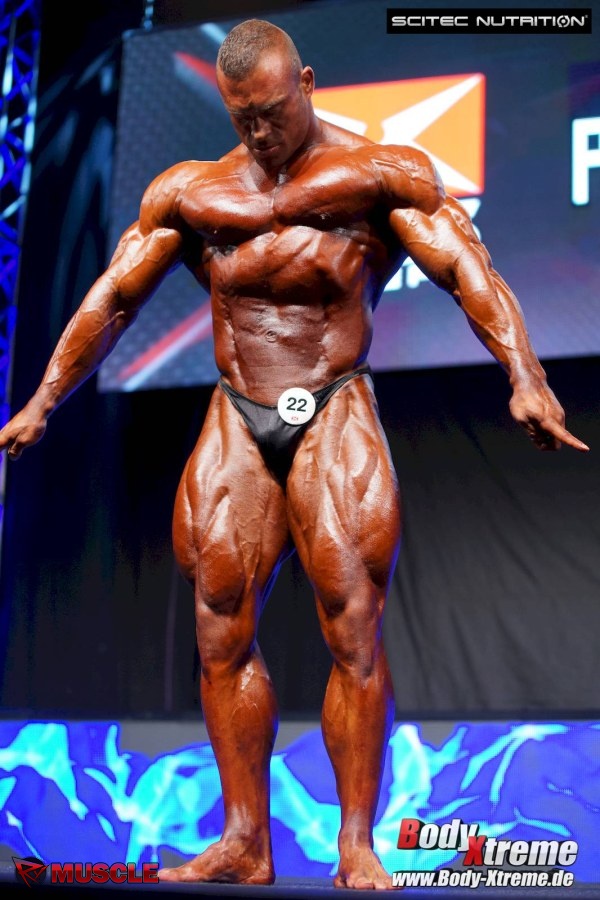 Roman  Fritz - IFBB Prague Pro 2015 - #1