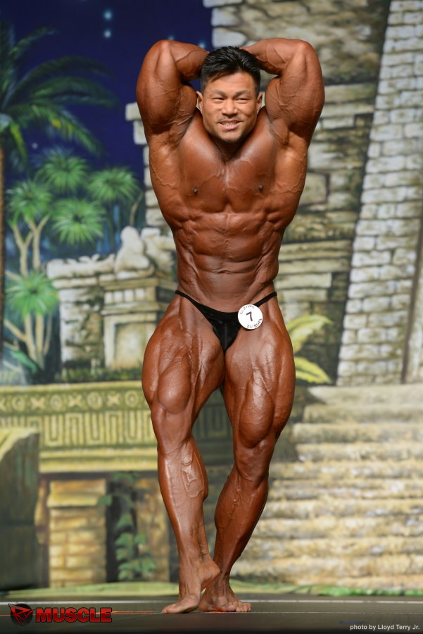 An  Nguyen - IFBB Europa Super Show 2014 - #1