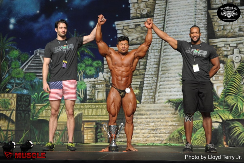 An  Nguyen - IFBB Europa Super Show 2014 - #1