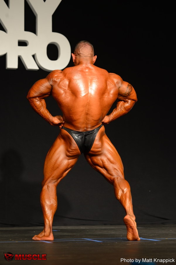 Guy  Cisternino - IFBB New York Pro 2015 - #1