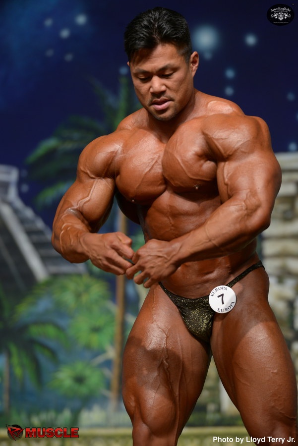 An  Nguyen - IFBB Europa Super Show 2014 - #1