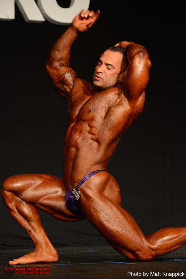 Guy  Cisternino - IFBB New York Pro 2015 - #1