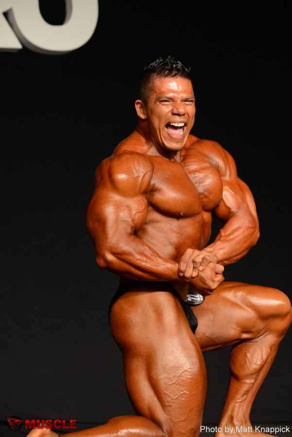 Jose Raul  Sanchez Reyes - IFBB New York Pro 2015 - #1