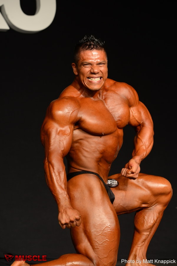 Jose Raul  Sanchez Reyes - IFBB New York Pro 2015 - #1