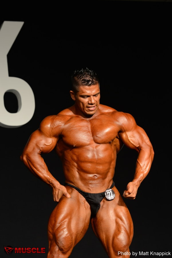 Jose Raul  Sanchez Reyes - IFBB New York Pro 2015 - #1