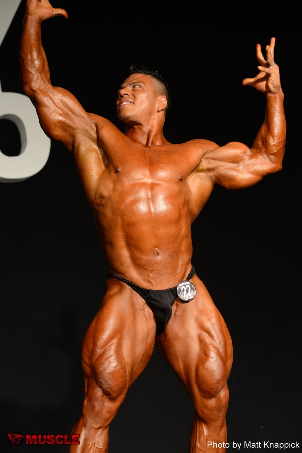 Jose Raul  Sanchez Reyes - IFBB New York Pro 2015 - #1