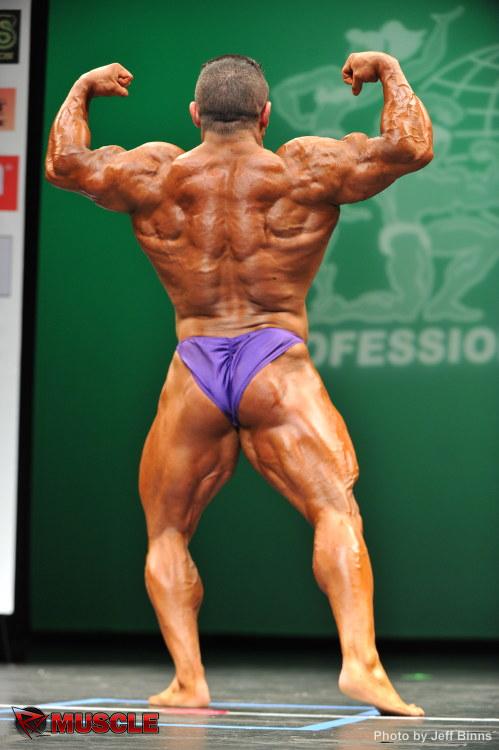 Vincente  Santamaria Martinez - IFBB New York Pro 2013 - #1