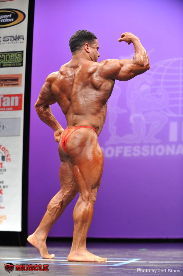 Jamal  Al Maadawy - IFBB New York Pro 2013 - #1