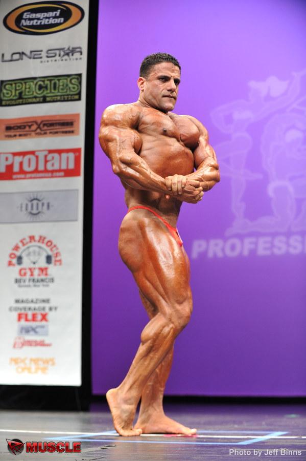 Jamal  Al Maadawy - IFBB New York Pro 2013 - #1