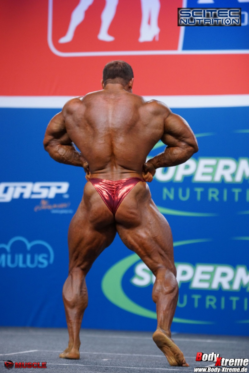 Sondro  Hofer - IFBB Nordic Pro 2016 - #1