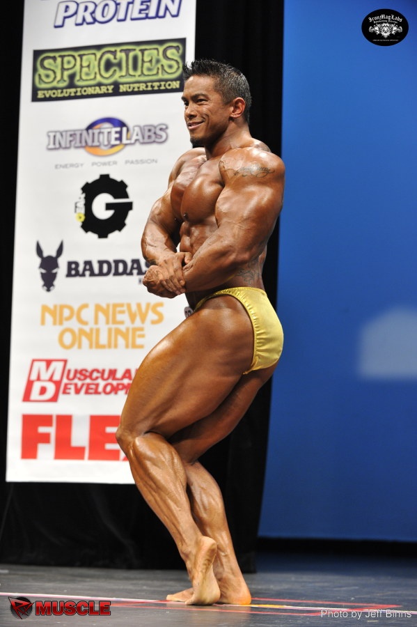 Stan  McQuay - IFBB New York Pro 2014 - #1