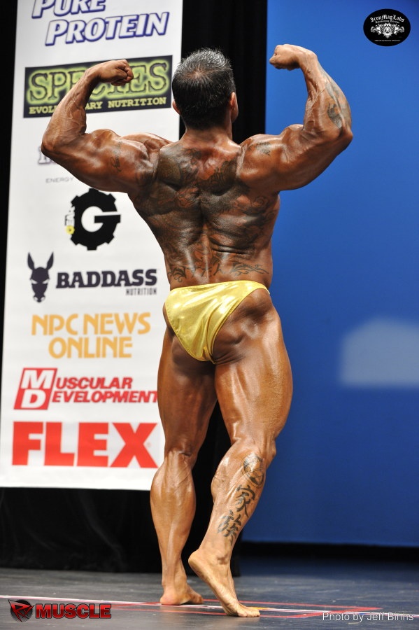 Stan  McQuay - IFBB New York Pro 2014 - #1