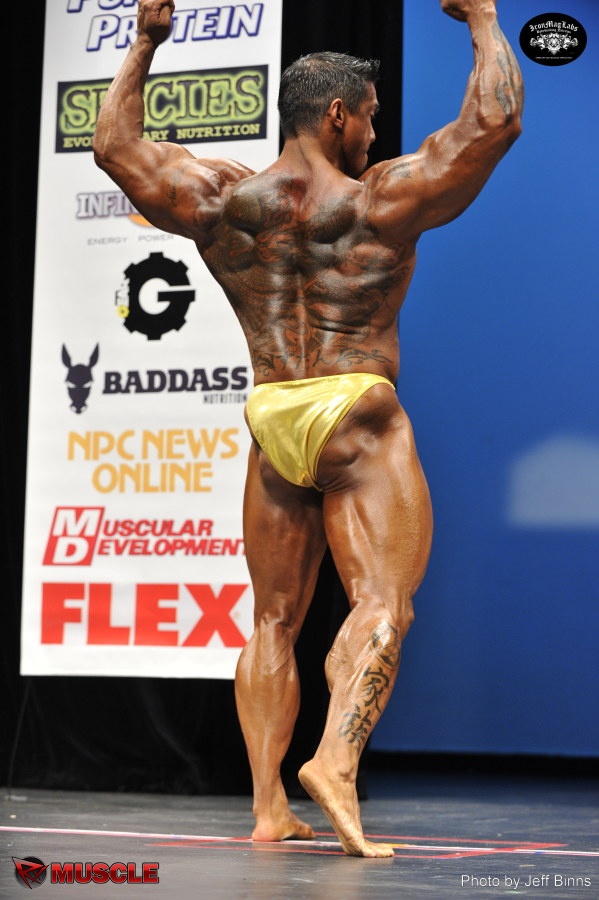 Stan  McQuay - IFBB New York Pro 2014 - #1