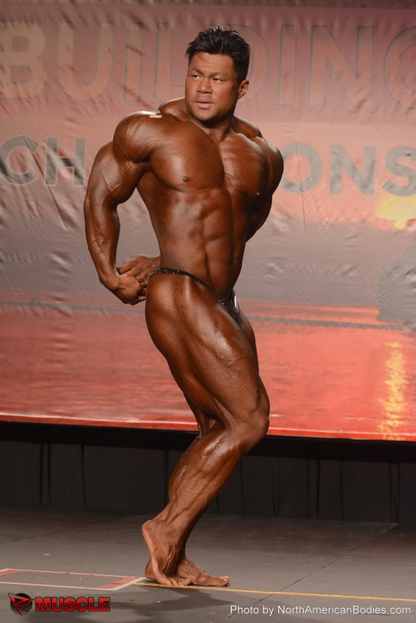 An  Nguyen - IFBB Wings of Strength Tampa  Pro 2014 - #1