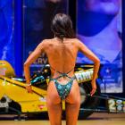 Carrie  Kehoe - NPC Iron Viking of the North 2013 - #1