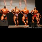 NPC Muscle Heat Championships 2015 - #1