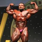 Roelly   Winklaar - IFBB Arnold Australia 2018 - #1