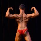 Dom Dic  Ieente - NPC Natural Michigan / Nicole Wilkins Classic 2013 - #1