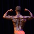 Malcolm  Landenberger - NPC Natural Michigan / Nicole Wilkins Classic 2013 - #1