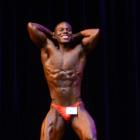 Malcolm  Landenberger - NPC Natural Michigan / Nicole Wilkins Classic 2013 - #1