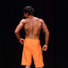 Brandon  Wesley - NPC Central States 2013 - #1