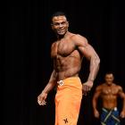 Michael  Ferguson - IFBB Houston Pro 2012 - #1