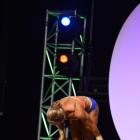 Ryall  Graber-Vasani - IFBB Olympia 2012 - #1