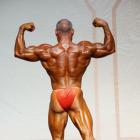 Arthur  Guidara - NPC Europa Battle of Champions 2013 - #1