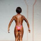 Anna  Gibbons - NPC Europa Battle of Champions 2013 - #1