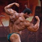 Tarek  Elsetouhi - IFBB FIBO Power Pro Germany 2011 - #1