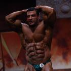 Tarek  Elsetouhi - IFBB FIBO Power Pro Germany 2011 - #1