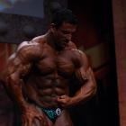 Tarek  Elsetouhi - IFBB FIBO Power Pro Germany 2011 - #1