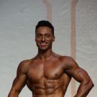 Igor  Gajic - NPC Europa Battle of Champions 2013 - #1