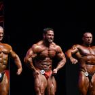David  Hoffmann - IFBB Amateur Olympia Prague 2014 - #1