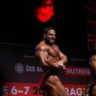 David  Hoffmann - IFBB Amateur Olympia Prague 2014 - #1