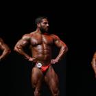 David  Hoffmann - IFBB Amateur Olympia Prague 2014 - #1