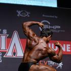 Denisov  Alexei - IFBB Amateur Olympia Prague 2014 - #1