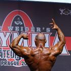 Manuel  Narath - IFBB Amateur Olympia Prague 2014 - #1