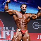 David  Hoffmann - IFBB Amateur Olympia Prague 2014 - #1