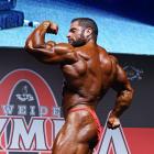 David  Hoffmann - IFBB Amateur Olympia Prague 2014 - #1