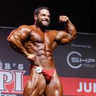 David  Hoffmann - IFBB Amateur Olympia Prague 2014 - #1