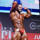 David  Hoffmann - IFBB Amateur Olympia Prague 2014 - #1