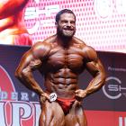 David  Hoffmann - IFBB Amateur Olympia Prague 2014 - #1