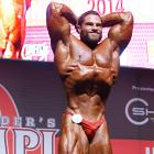 David  Hoffmann - IFBB Amateur Olympia Prague 2014 - #1