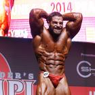David  Hoffmann - IFBB Amateur Olympia Prague 2014 - #1