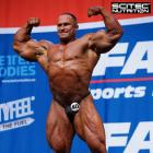 Alexander   Federov - IFBB Nordic Pro 2015 - #1