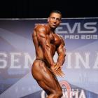 Ahmad  Ahmad - IFBB Prague Pro 2013 - #1