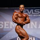 Ahmad  Ahmad - IFBB Prague Pro 2013 - #1