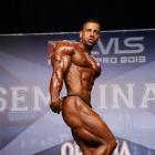 Ahmad  Ahmad - IFBB Prague Pro 2013 - #1