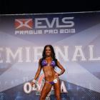 Nicole  Moneer - IFBB Prague Pro 2013 - #1